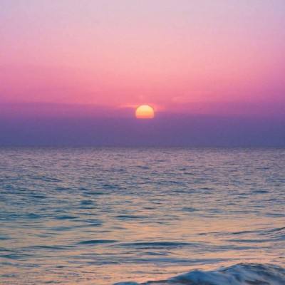 赏金女王免费安卓下载