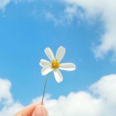 NG体育·(南宫)app下载