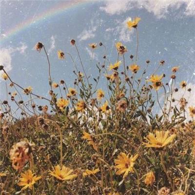 BO半岛综合app安全下载