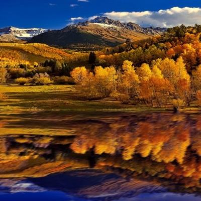 hth华体育(中国)官方入口手机app下载