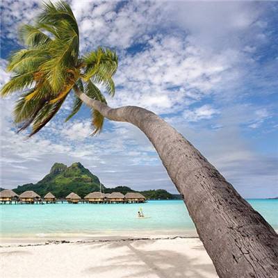 博业体育官网boye