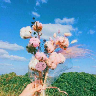 im电竞在线登录