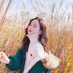 im电竞在线登录